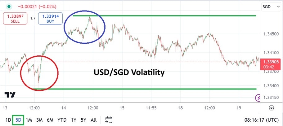 USD/SGD Analysis Today - 19/11: Speculation Rises (Chart)